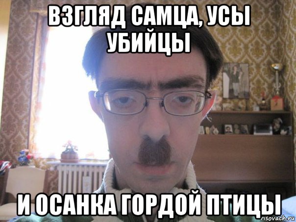 взгляд самца, усы убийцы и осанка гордой птицы, Мем Взгляд самца Усы убийцы И осанка