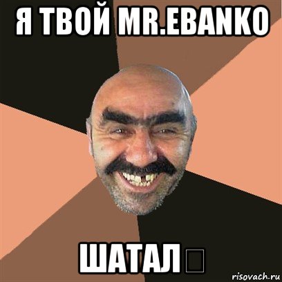 я твой mr.ebanko шатал！, Мем Я твой дом труба шатал