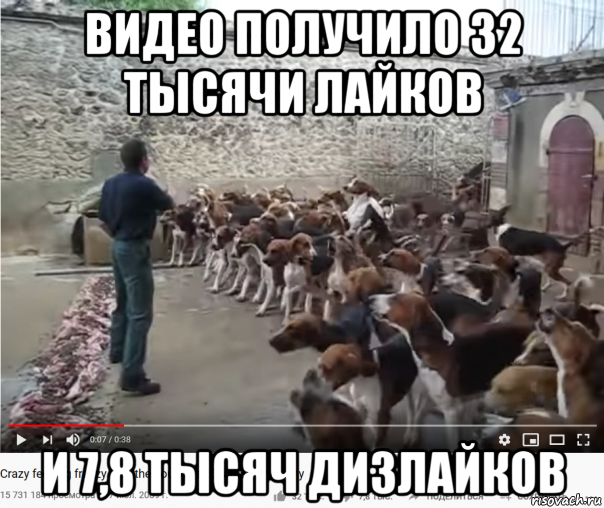 видео получило 32 тысячи лайков и 7,8 тысяч дизлайков, Мем Завывающая дрессированная свора - Крупный петушатник