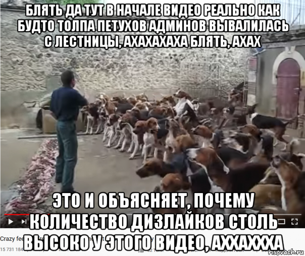 блять да тут в начале видео реально как будто толпа петухов админов вывалилась с лестницы, ахахахаха блять, ахах это и объясняет, почему количество дизлайков столь высоко у этого видео, аххаххха, Мем Завывающая дрессированная свора - Крупный петушатник