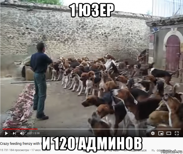 1 юзер и 120 админов, Мем Завывающая дрессированная свора - Крупный петушатник