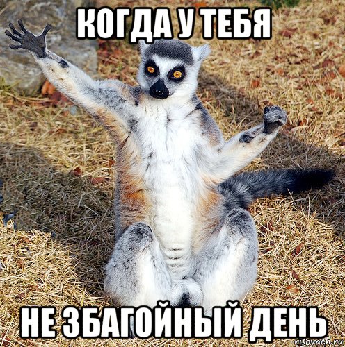 когда у тебя не збагойный день