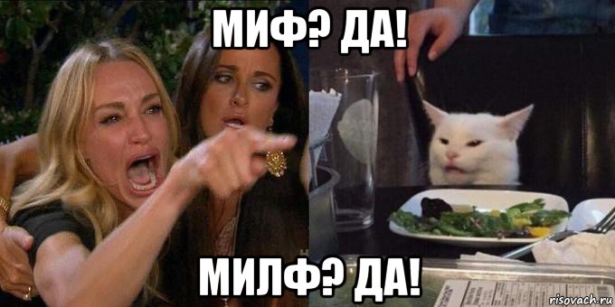 миф? да! милф? да!, Мем Женщина орёт на кота