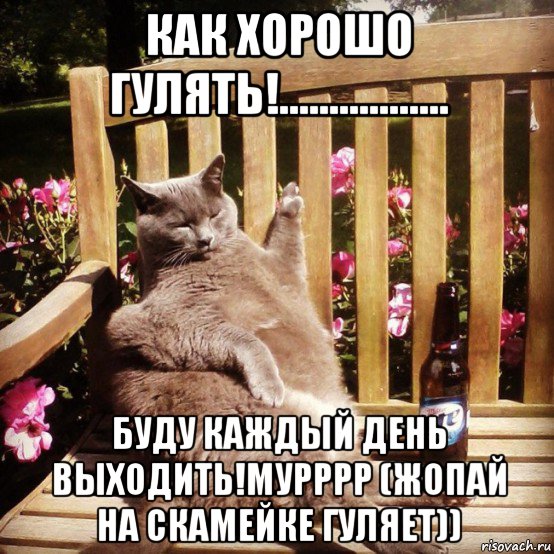 как хорошо гулять!................. буду каждый день выходить!мурррр (жопай на скамейке гуляет))