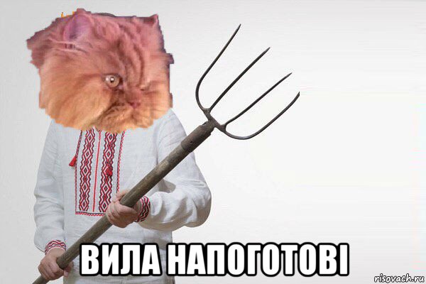  вила напоготові, Мем Злой кот Гарфи с вилами