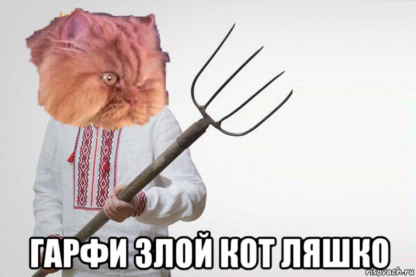  гарфи злой кот ляшко, Мем Злой кот Гарфи с вилами