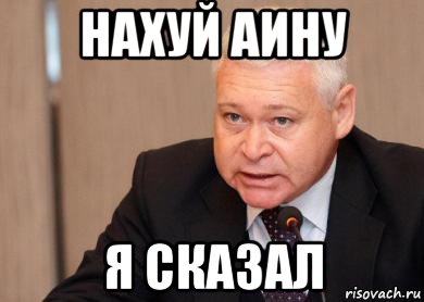 нахуй аину я сказал, Мем 6746745747