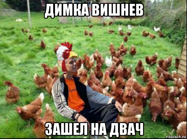 димка вишнев зашел на двач, Мем А4 петух