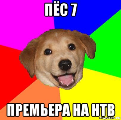 пёс 7 премьера на нтв, Мем Advice Dog