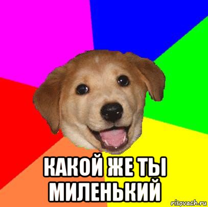  какой же ты миленький, Мем Advice Dog