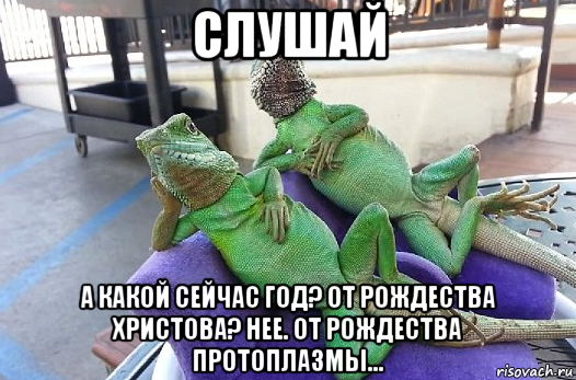 слушай а какой сейчас год? от рождества христова? нее. от рождества протоплазмы...