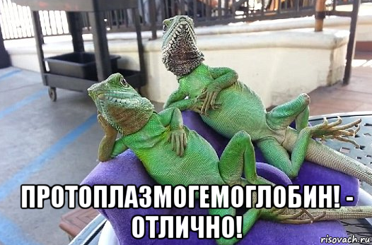 протоплазмогемоглобин! - отлично!
