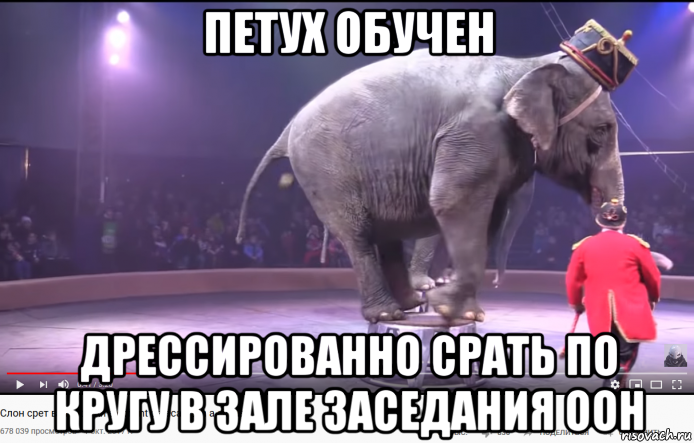 петух обучен дрессированно срать по кругу в зале заседания оон, Мем Бегемо ест Цвето - Правильный главпетух