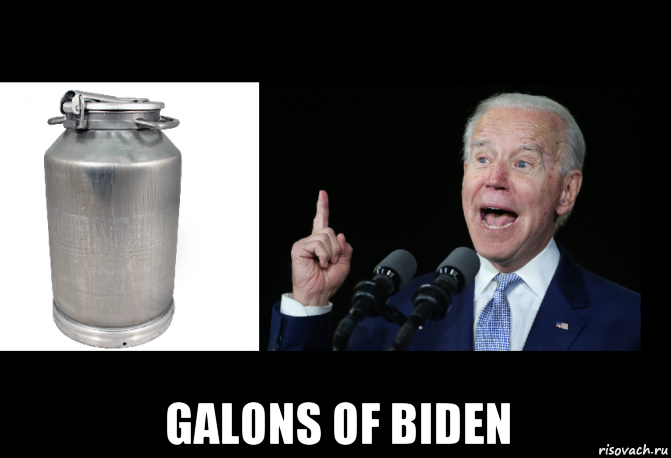  galons of biden, Мем Бидон и байден