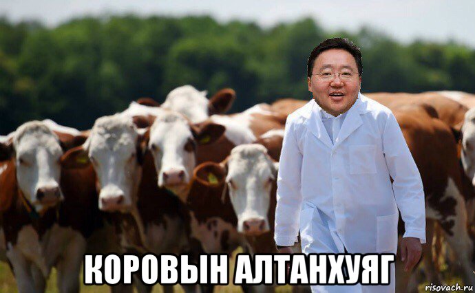  коровын алтанхуяг, Мем Цахиагийн Элбэгдорж и коровы