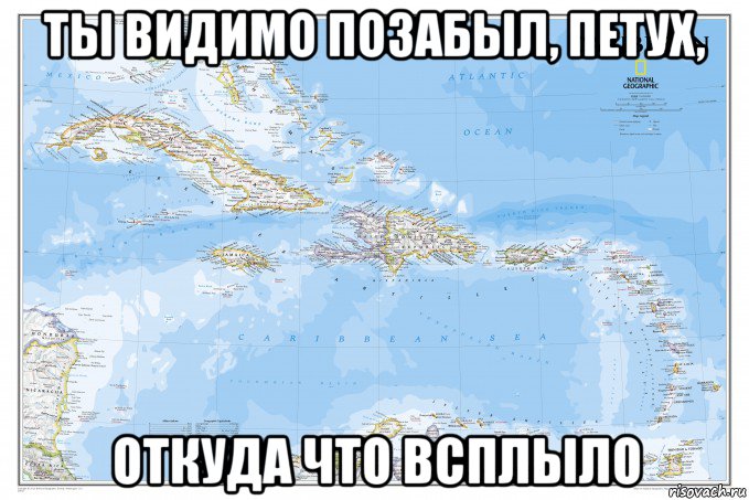 ты видимо позабыл, петух, откуда что всплыло, Мем Caribbean