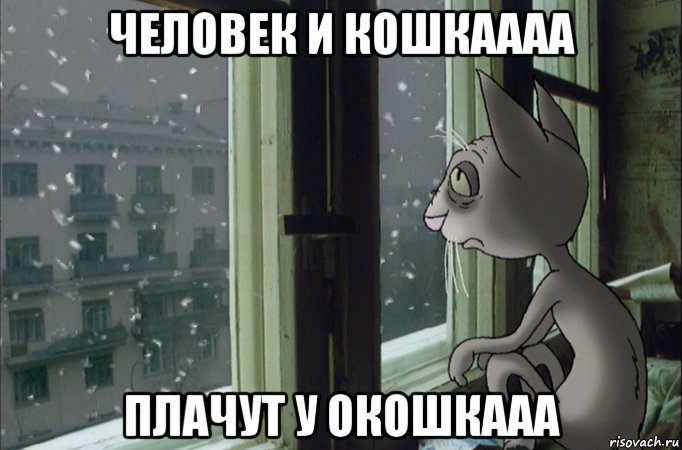 человек и кошкаааа плачут у окошкааа, Мем Человек и Кошка