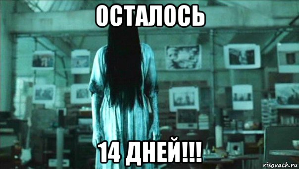 осталось 14 дней!!!