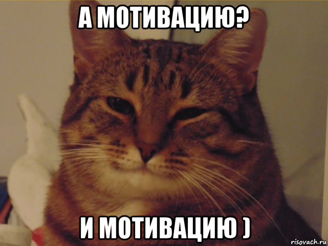 а мотивацию? и мотивацию )