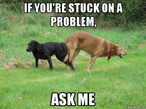 if you're stuck on a problem, ask me, Мем Dogfuck