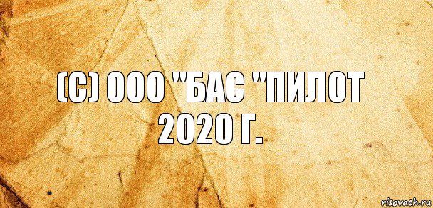 (с) ООО "БАС "Пилот 2020 г.