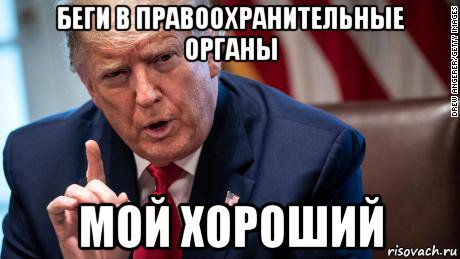 беги в правоохранительные органы мой хороший, Мем Дональд Трамп