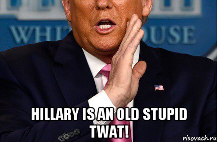  hillary is an old stupid twat!, Мем Donald Trump