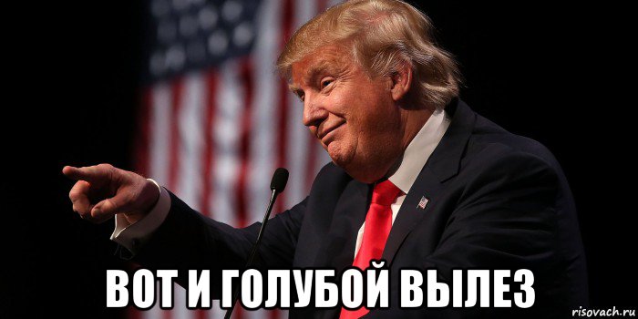  вот и голубой вылез, Мем Donald Trump