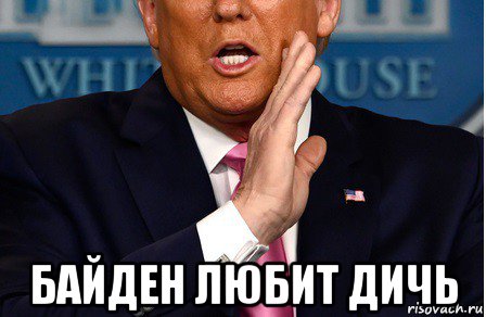  байден любит дичь, Мем Donald Trump