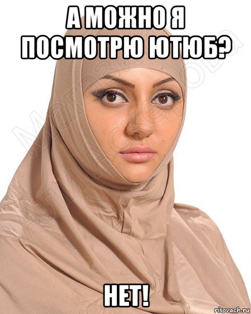 а можно я посмотрю ютюб? нет!, Мем Электромагнитная Изоляция