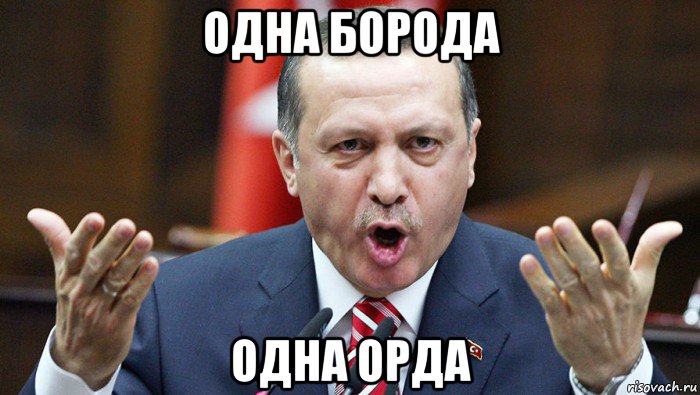 одна борода одна орда, Мем Эрдоган