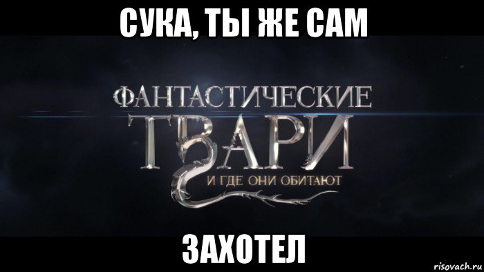 сука, ты же сам захотел