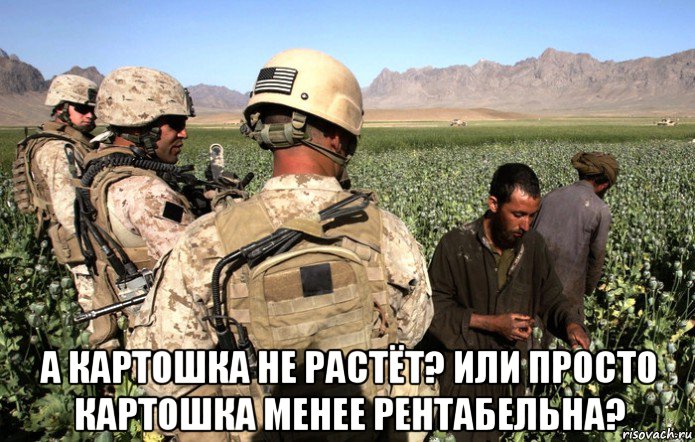  а картошка не растёт? или просто картошка менее рентабельна?, Мем Фермерское хозяйство