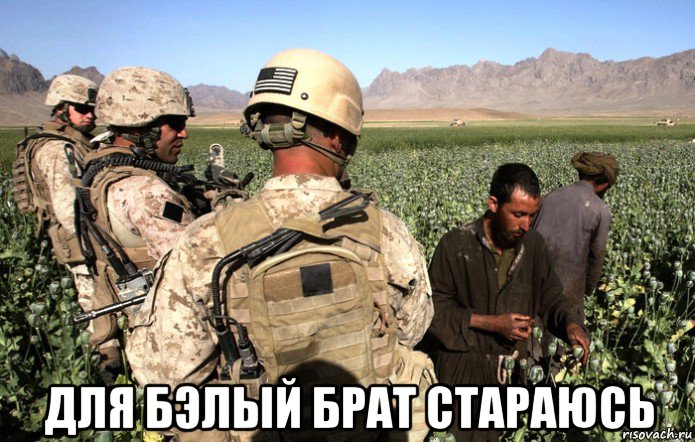  для бэлый брат стараюсь, Мем Фермерское хозяйство