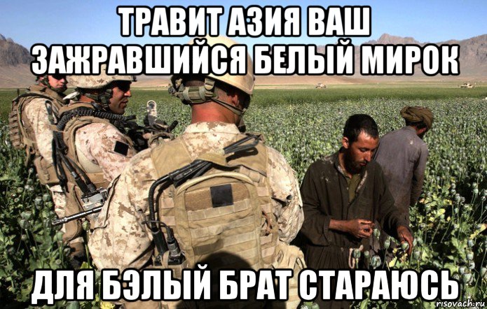 травит азия ваш зажравшийся белый мирок для бэлый брат стараюсь, Мем Фермерское хозяйство