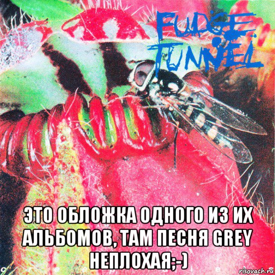  это обложка одного из их альбомов, там песня grey неплохая;-), Мем Fudge Tunnel