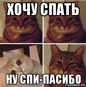 хочу спать ну спи-пасибо, Мем Фужерчики