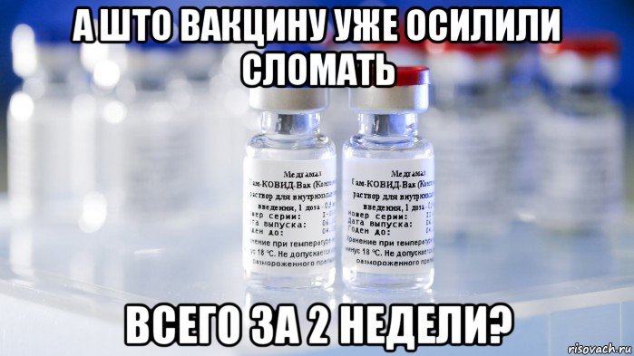 а што вакцину уже осилили сломать всего за 2 недели?, Мем Гам-КОВИД-Вак