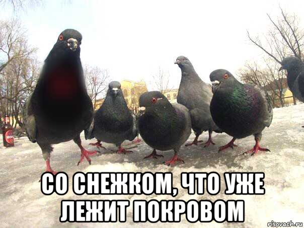  со снежком, что уже лежит покровом