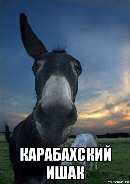  карабахский ишак, Мем Ишак карабахский