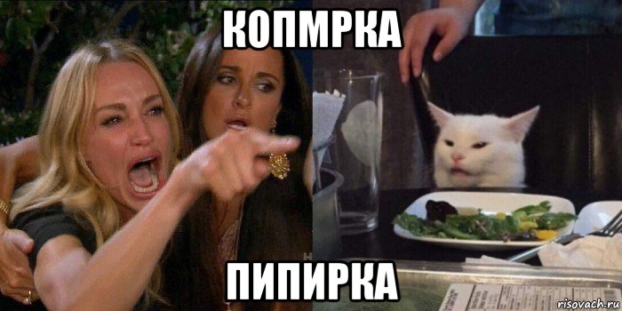 копмрка пипирка, Мем Истеричка и кот