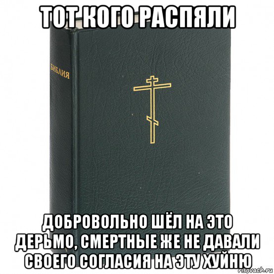 тот кого распяли добровольно шёл на это дерьмо, смертные же не давали своего согласия на эту хуйню, Мем Книга