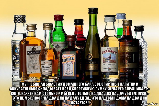  муж выкладывает из домашнего бара все спиртные напитки и аккуратненько складывает всё в спортивную сумку. жена его спрашивает: - коля, нахрен нам столько? мы ведь только на два дня на дачу едем! муж: - это не мы, люся, на два дня на дачу едем... это наш сын дома на два дня остаётся!, Мем Коллекция алкоголя