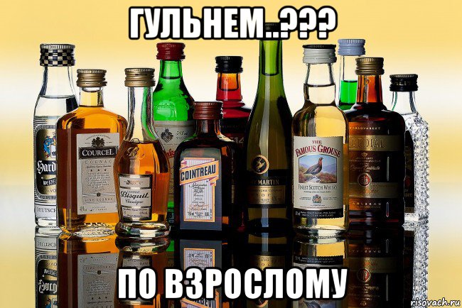 гульнем..??? по взрослому, Мем Коллекция алкоголя