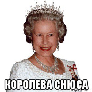  королева снюса