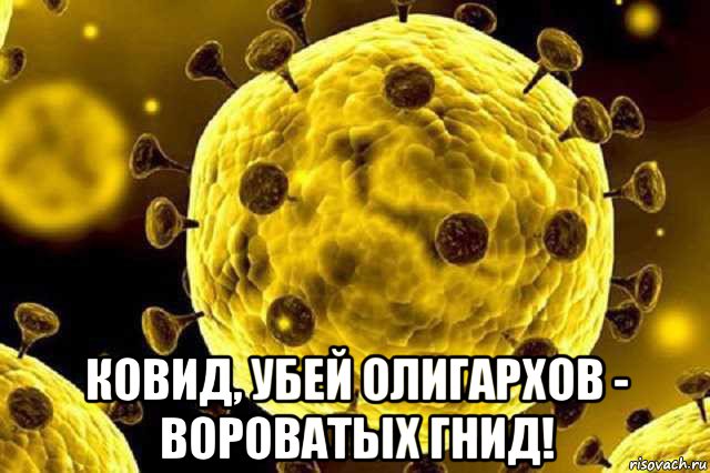  ковид, убей олигархов - вороватых гнид!
