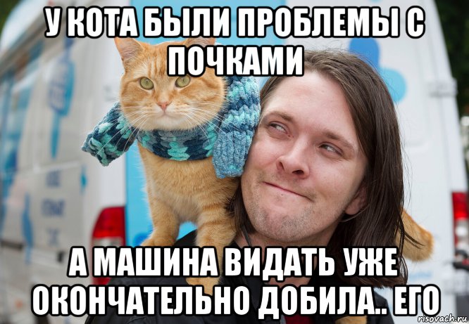у кота были проблемы с почками а машина видать уже окончательно добила.. его, Мем Кот Боб