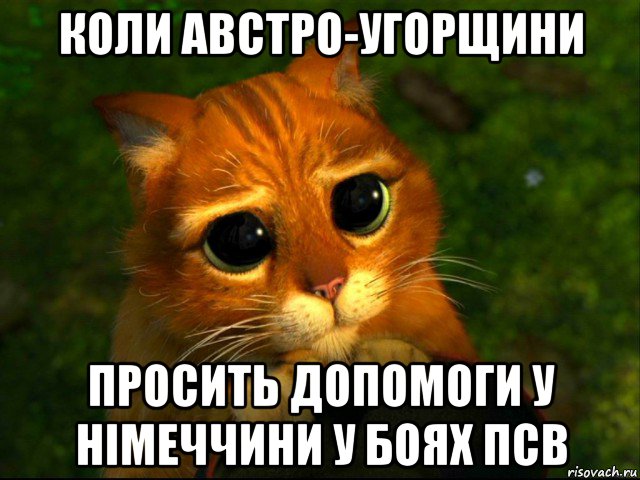 коли австро-угорщини просить допомоги у німеччини у боях псв, Мем кот из шрека