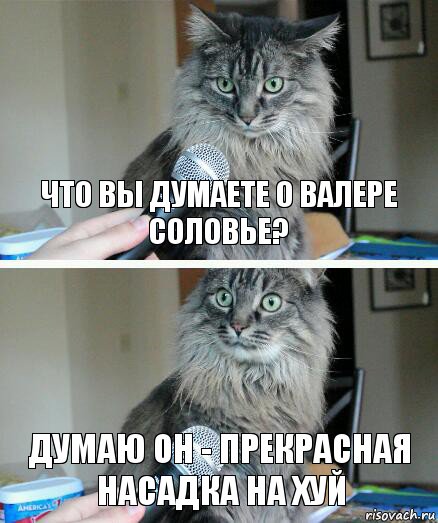 что вы думаете о валере соловье? думаю он - прекрасная насадка на хуй, Комикс  кот с микрофоном