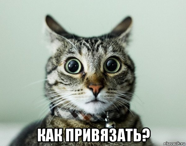  как привязать?